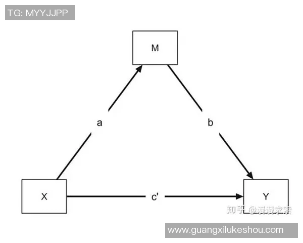 杭州排球队创新盯防战术探讨及其对比赛胜负的影响分析