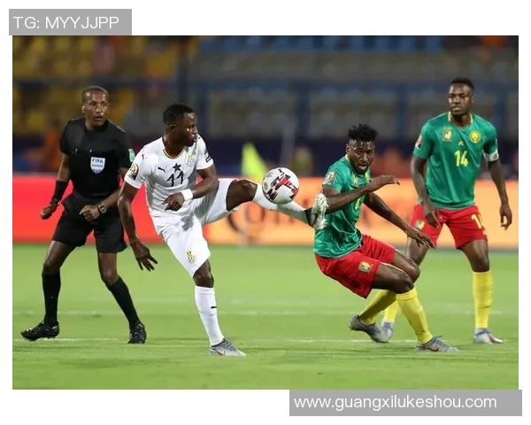 加纳与突尼斯激战正酣赛况分析及精彩瞬间回顾